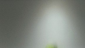 Elenco del progama Hoy | Mezcalent