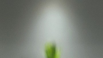 Elenco del progama Hoy | Mezcalent