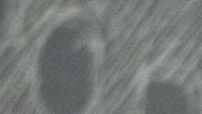 "El Komander" | Mezcalent