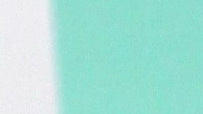 Galilea Montijo | Mezcalent