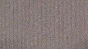 Ludwika Paleta en los Premios Fénix de 2017 | Mezcalent