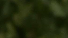 Eiza González en la Gala del Met | Mezcalent