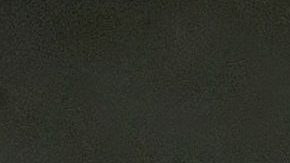 Yalitza Aparicio en su visita a Los Pinos | Mezcalent