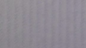 África Zavala en Mira quien Baila | Mezcalent