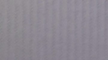 África Zavala en Mira quien Baila | Mezcalent