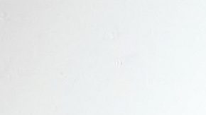 Dulce María dio su sincera opinión sobre el nuevo remake de 'Rebelde' | Mezcalent