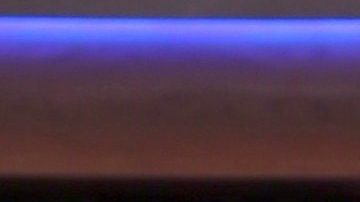 Michelle Renaud | Mezcalent