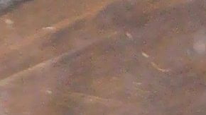 Salma Hayek | Mezcalent