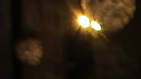 Elenco de Monarca junto a Salma Hayek | Mezcalent