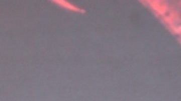 Cynthia Klitbo | Mezcalent