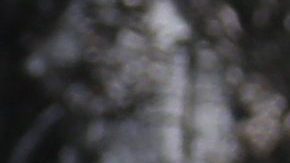 Sara Sosa | Mezcalent