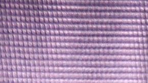 Ivonne Montero en Disney on Ice | Mezcalent