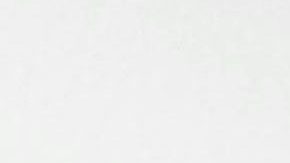 Adamari López y Luis Fonsi se divorciaron hace algunos años