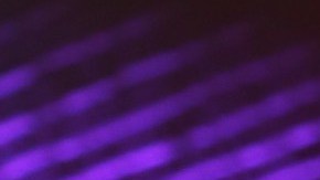 Alejandra Espinoza agradeció a los seguidores de NBL por su preocupación | Mezcalent