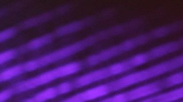 Alejandra Espinoza agradeció a los seguidores de NBL por su preocupación | Mezcalent