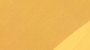 Alicia Machado fue novia de Pablo Montero hace 17 años | Mezcalent