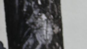 Hijas de José José