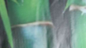 Nicolás Vallejo Nágera