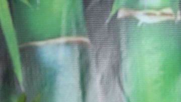 Nicolás Vallejo Nágera