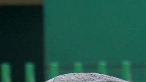 Stephanie Valenzuela