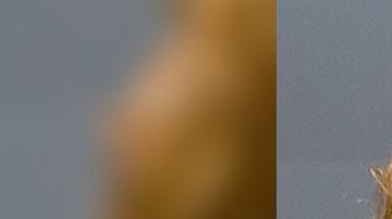 Silvia Pinal habló del escándalo familiar por el que atraviesan. | Getty Images