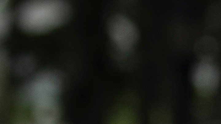 Emma Coronel | Getty Images