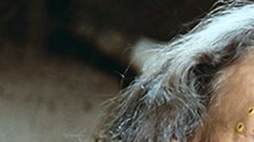 Isela Vega | Mezcalent