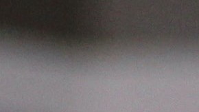 Ninel Conde | Mezcalent