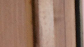 Silvia Navarro - Alberto El Terrible Cortez | Cortesía