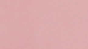 Zara y Mark Tindall dieron la bienvenida a su primer hijo varón.