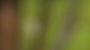 Uraz Kaygılaroğlu es Gediz en 'La Hija del Embajador'