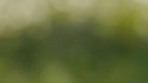 Uraz Kaygılaroğlu es Gediz en 'La Hija del Embajador'