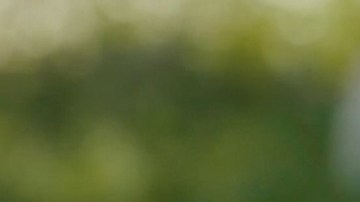 Uraz Kaygılaroğlu es Gediz en 'La Hija del Embajador'