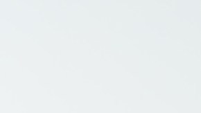 Gonzalo Peña | Mezcalent