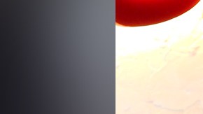 Julián Gil y Francisca Lachapel