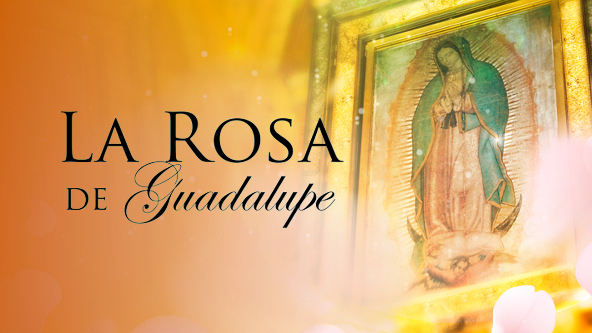 la rosa de guadalupe lo que se aprende en casa