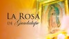 'La Rosa de Guadalupe' es un programa mexicano | Univisión