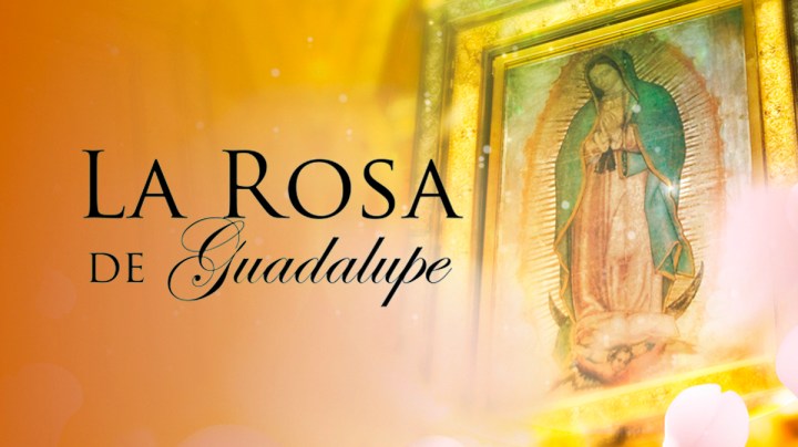 'La Rosa de Guadalupe' es un programa mexicano | Univisión