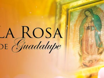 'La Rosa de Guadalupe' es un programa mexicano | Univisión