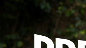 Sebastián Rulli y Angelique Boyer