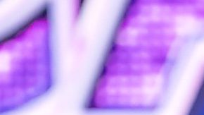 Paola Rojas | Mezcalent