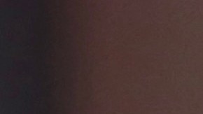 Alejandra Guzmán habría creado una empresa en 1999 | Mezcalent