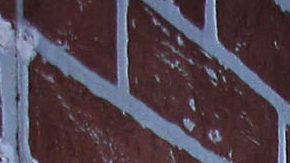 Alejandra Ávalos | Mezcalent