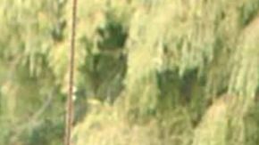 Bibi Gaytán y Eduardo Capetillo