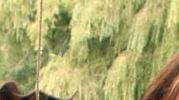 Bibi Gaytán y Eduardo Capetillo