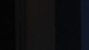 Ana Bárbara y su ex pareja "El Pirru" | Mezcalent