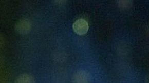 Alejandra y Enrique Guzmán | Mezcalent