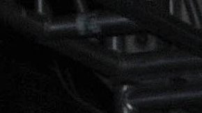 Belinda y su hermano Nacho | Mezcalent