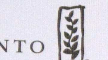 Ludwika Paleta | Mezcalent