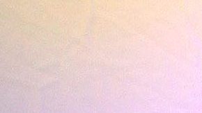 Pablo Lyle | Mezcalent